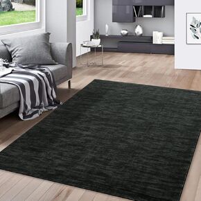 3x5 Bedroom Area Rug Solid Area Rug Washable Area Rug Modern Contemporary Area Rug Non-Slip Throw Indoor Carpet for Living Room Bedroom Kids Room, 3' x 5' Black