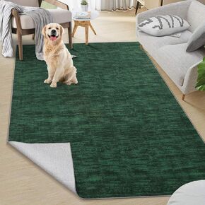 3x5 Bedroom Area Rug Solid Area Rug Washable Area Rug Modern Contemporary Area Rug Non-Slip Throw Indoor Carpet for Living Room Bedroom Kids Room, 3' x 5' Black