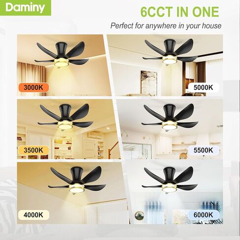 DAMINY الخشب الصلب الطبيعي الأبيض والذهبي 52 بوصة مروحة السقف مع الضوء، 3 مروحة سقف شفرة مع الضوء، 6CCT، مروحة سقف منخفضة المستوى مع الضوء والتحكم عن بعد in Kuwait