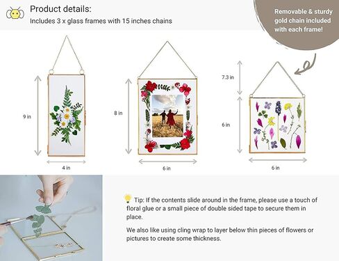 Double Glass Frame for Pressed Flowers, Leaf and Artwork - Set of 3 Hanging Picture Frames, 6x6, 6x8, 4x9 Floating Pressed Flower Frames, Square and Rectangular Wall Decor Photo Display, Clear Metal Glass Frames with Chain (Gold) in Saudi Arabia