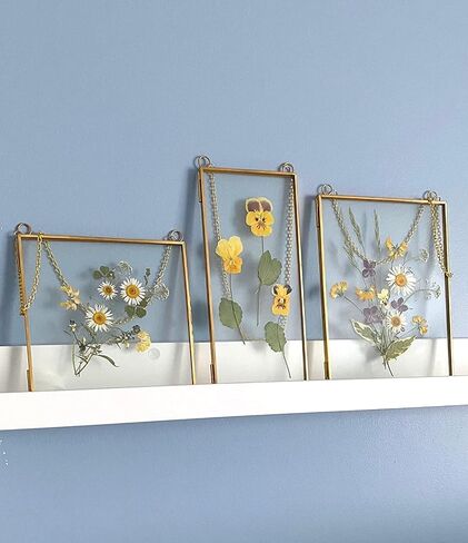 Double Glass Frame for Pressed Flowers, Leaf and Artwork - Set of 3 Hanging Picture Frames, 6x6, 6x8, 4x9 Floating Pressed Flower Frames, Square and Rectangular Wall Decor Photo Display, Clear Metal Glass Frames with Chain (Gold) in Saudi Arabia