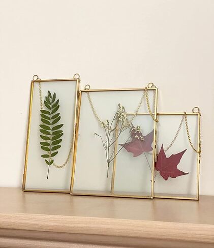 Double Glass Frame for Pressed Flowers, Leaf and Artwork - Set of 3 Hanging Picture Frames, 6x6, 6x8, 4x9 Floating Pressed Flower Frames, Square and Rectangular Wall Decor Photo Display, Clear Metal Glass Frames with Chain (Gold) in Saudi Arabia