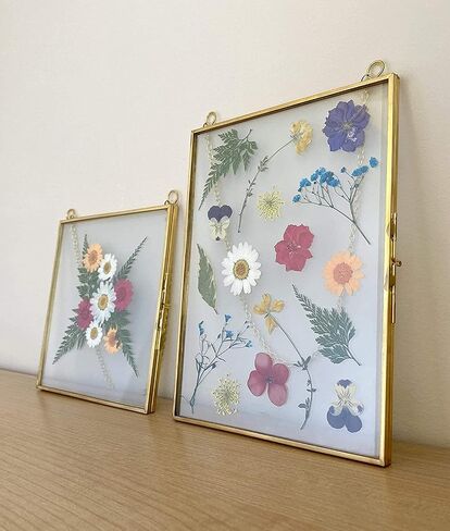 Double Glass Frame for Pressed Flowers, Leaf and Artwork - Set of 3 Hanging Picture Frames, 6x6, 6x8, 4x9 Floating Pressed Flower Frames, Square and Rectangular Wall Decor Photo Display, Clear Metal Glass Frames with Chain (Gold) in Saudi Arabia