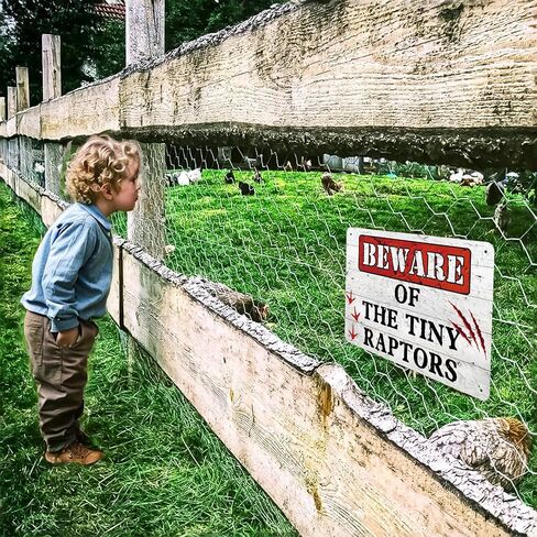Chicken Coop Signs, Beware of Chicken, The Tiny Raptors Chicken Decor, Funny Wall Decor for Farmhouse, Garden, and Kitchen, Chicken Coop Accessories (8" x 12") in Saudi Arabia
