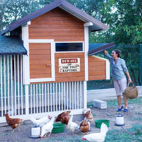 Chicken Coop Signs, Beware of Chicken, The Tiny Raptors Chicken Decor, Funny Wall Decor for Farmhouse, Garden, and Kitchen, Chicken Coop Accessories (8" x 12") in Saudi Arabia