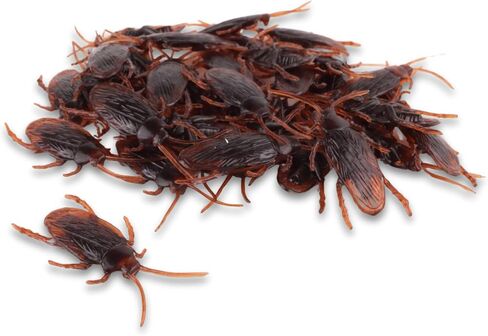Needzo Fake Premium Cockroaches, Lifelike Plastic Bugs for Halloween Tabletop Decorations, 36 Pieces, 1.75 Inches Each in Saudi Arabia