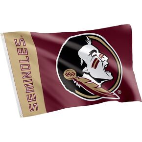 Desert Cactus Florida State University Flag Seminoles FSU Banners 100% Polyester Indoor Outdoor 3x5 feet Flags (Team Name)