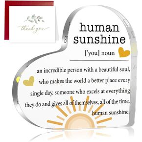 Thank You Thanksgiving Decor Gifts for Women, Inspirational Quotes Gift, Human Sunshine Gift, Motivational Gift, Appreciation Gifts for Teacher Friends Coworkers Doctor Nurse, Acrylic Desk Sign Decor