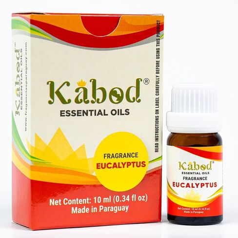 زيت كابود القرفة والتفاح العطري - مزيج عطري للناشرين وأجهزة الترطيب ومواقد الروائح والصابون والشموع - زيت عطري للمنزل - زجاجة 10 مل مع قطارة in Saudi Arabia