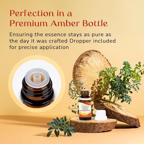 زيت كابود القرفة والتفاح العطري - مزيج عطري للناشرين وأجهزة الترطيب ومواقد الروائح والصابون والشموع - زيت عطري للمنزل - زجاجة 10 مل مع قطارة in Saudi Arabia