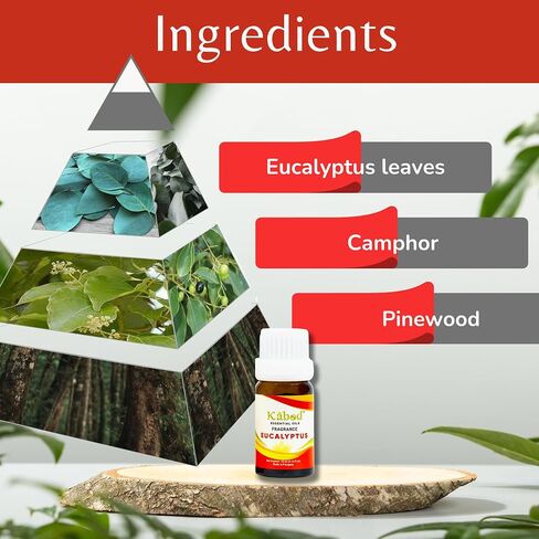 زيت كابود القرفة والتفاح العطري - مزيج عطري للناشرين وأجهزة الترطيب ومواقد الروائح والصابون والشموع - زيت عطري للمنزل - زجاجة 10 مل مع قطارة in Saudi Arabia