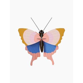 studio ROOF, Wall Art Butterfly, Gold Rim Butterfly, Eco-Friendly & Creative Gift