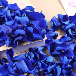Dried Real Rose Petals, Natural Preserved Dry Flower Petals for Wedding Party Dinner Table Decor, Romantic Night for Her Set, Engagement, Bridal Shower, Valentine's Day, Confetti (1.6 oz, Blue)