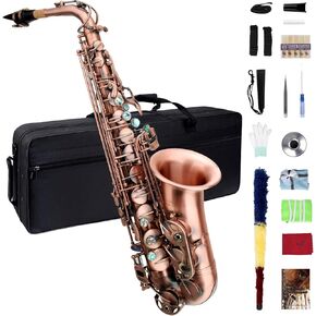 Eb Alto Saxophone, Saxophone for Beginners, Saxophone for Students, Saxophones Alto, Beginner Saxophone, Student Saxophone Beginner, Alto Sax, Alto Saxophone, Antique Bronze Saxophone