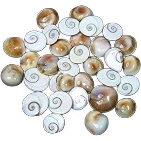 4our Faith 21 Pcs Gomti Chakra for Wealth, Health & Success