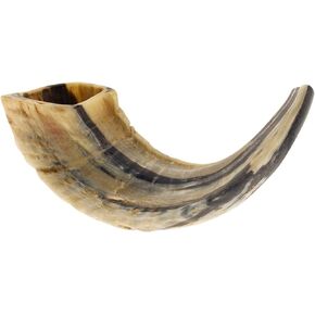 KOSHER ODORLESS NATURAL SHOFAR | Genuine Natural Rams Horn | Smooth Mouthpiece for Easy Blowing | Includes Carrying Bag and Shofar Blowing Guide | 10"-12"