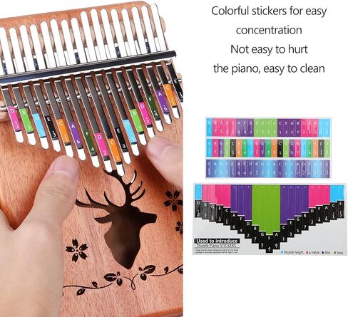 Kalimba Sticker, Colorful Kalimba Scale Sticker Thumb Piano Key Stickers Musical Note Decoration for Beginner in Kuwait