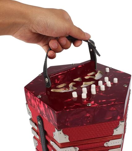 summina Concertina Accordion Anglo-style concertina accordion 20-Button 40-Reed Anglo Style with Carrying Bag Leather Hand Strap Red Pine Red in Saudi Arabia