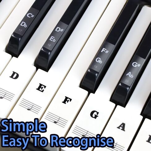 Piano Keyboard stickers With Piano Chord Chart,For 88/61/54/49 Key,Note letters Labels for Beginners and Young Kids, Piano Notes Guide Piano Key Stickers Learn Play Electronic Piano (White and Black) in Saudi Arabia