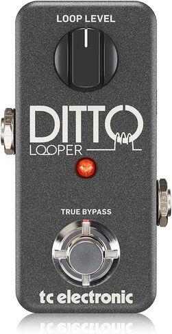 TC Electronic DITTO X2 LOOPER دواسة Looper بديهية للغاية مع زر إيقاف مخصص وتأثيرات حلقة in Saudi Arabia