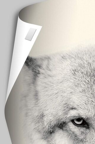 Trends International NFL Cleveland Browns - ملصق حائط 20 خوذة بالتنقيط، 22.375 بوصة × 34 بوصة، حزمة ملصق وتركيب in Kuwait