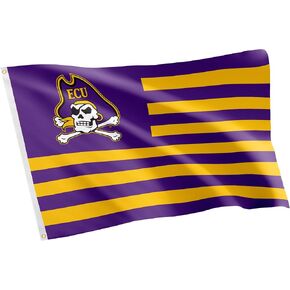 Desert Cactus East Carolina University Indoor and Outdoor 100% Polyester University Flag Banner, 3x5 Feet Nation Style - for Decor, Events, and East Carolina Pirates Pride Display