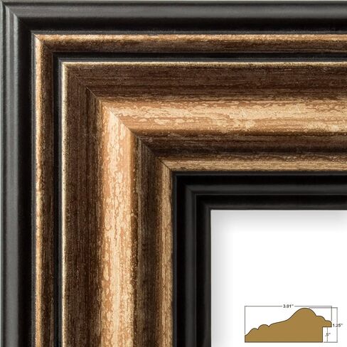 Craig Frames 21307201 20 x 24 Inch Aged Copper and Black Picture Frame Matted to Display a 16 x 20 Inch Photo in Kuwait