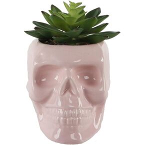 Flora Bunda 4.5X3.5 Ceramic Sugar Skull Succulent, Matt Black