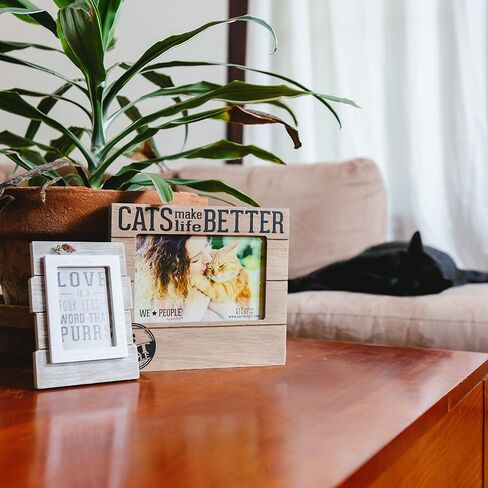Pavilion Gift Company 67266 We People-Cats Make Life Better 4x6 Picture Frame in Kuwait