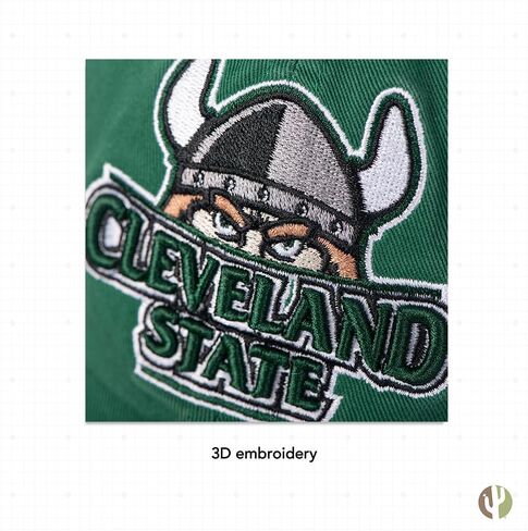 Desert Cactus Cleveland State University Baseball Hat CSU Vikings Brimmed Embroirderd Hats Cap Adjustable Cloth Strap Adult (Style 1) Green in Saudi Arabia