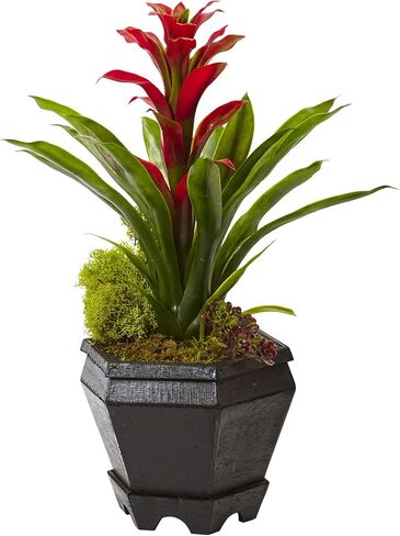 Nearly Natural Bromeliad in Black Hexagon Planter in Saudi Arabia