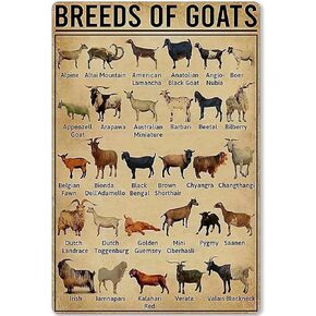 Goat Knowledge Metal Tin Signs Breeds Of Goats Learning Print Poster Library School Education Living Room Kitchen Bathroom Home Art Wall Decoration Plaque Gift 8inchx12inch