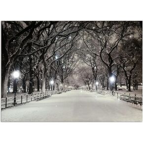 Large Winter Scene Canvas Pictures Lighted for Wall Decor, LED Canvas Art with Timer, Light Up Snowy Path Picture, Peaceful Night Poster Canvas Pictures with Lights Built In, Lit Up Landscape Painting