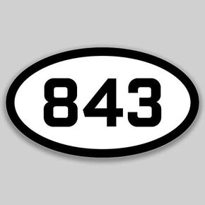 DHDM 843 Area Code Sticker South Carolina Charleston Florence Goose Creek City Pride Love | 5-Inches by 3-Inches | Premium Quality Vinyl UV Resistant Laminate PD2300