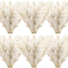 30pcs 46 Inch Natural Pampas Grass Decor Bulk, Fluffy Tall Dried Pampas Grass Bouquet for Floor Vase, Wedding Floral Arrangements, Party, Farmhouse, Boho Home Decor (Beige White) (White)