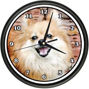 Mini Pomeranian Wall Clock Dog Doggie pet Breed Gift