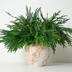 Xmas Norfolk Pine Branches, 5PCS Artificial Christmas Greenery Stems and 2PCS Willow Lights for Crafts, Holiday and Home Centerpiece Table Decorations