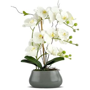 White Orchid Artificial Flowers with Gray Vase Fake Faux Silk Phalaenopsis Arrangement for Home Office Decoration Party Wedding Decor Indoor (3.54" D x 7.87" W x 20" H)