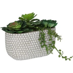 Flora Bunda Artificial Succulent Faux Plant Succulent Garden in Cement 9" W Oval Texture Pattern Planter Pot, Concrete 9" Oval