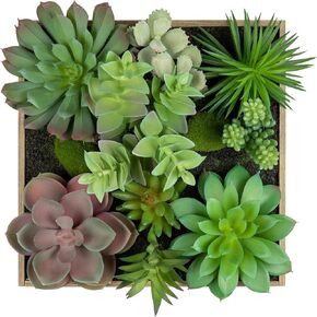 Briful Faux Succulent Wall Art 20 cm Framed 3D Succulents Plants Artificial Arrangement Assorted Succulents Hanging Fake Plants Wall Art for Home Decor Indoor Bathroom