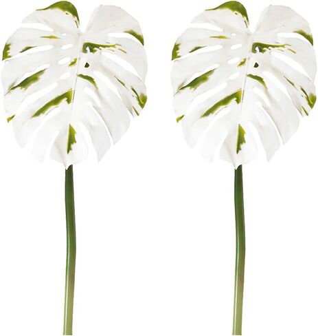Spotted Variegated Leaf Monstera Artificial Stem : 2 Pack of 30 H in Saudi Arabia