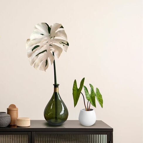 Spotted Variegated Leaf Monstera Artificial Stem : 2 Pack of 30 H in Saudi Arabia
