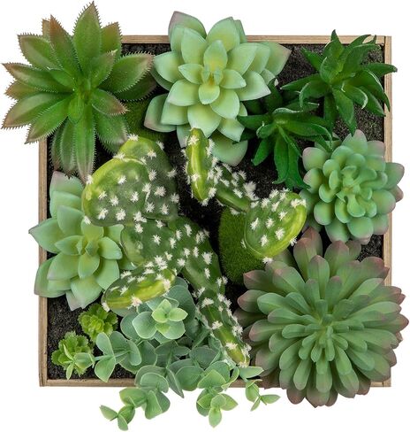 Briful Faux Succulent Wall Art 20 cm Framed 3D Succulents Plants Artificial Arrangement Assorted Succulents Hanging Fake Plants Wall Art for Home Decor Indoor Bathroom in Saudi Arabia