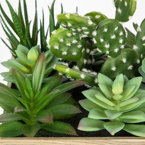 Briful Faux Succulent Wall Art 20 cm Framed 3D Succulents Plants Artificial Arrangement Assorted Succulents Hanging Fake Plants Wall Art for Home Decor Indoor Bathroom in Saudi Arabia