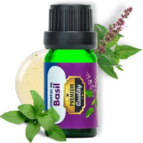 100% Pure Essential Oils for Diffusers, Home Care, Car, Hair & Massage, Candle Making Scents, Fragrance, Aromatherapy, Humidifiers, Gifts - 10 ml (0.33 oz) (10ml/(0.33 oz), Coriander)