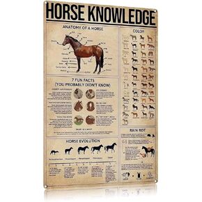 FEBIOAW Retro Metal Tin Sign Wall Decor - Horse Knowledge - Funny Vintage Tin Sign Wall Plaque Poster For Cafe Bar Restaurant Supermarket Shop Gifts 12x8 Incheses
