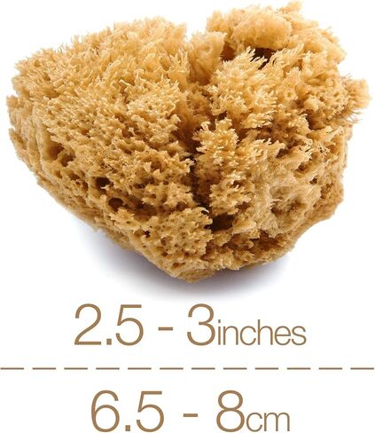 IntimateCare Sea Sponges. 2X 6.5-8cm Mediterranean Sponges in Plastic Free Packaging. Absolute Quality. in Saudi Arabia
