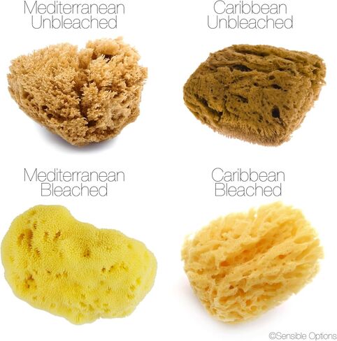 IntimateCare Sea Sponges. 2X 6.5-8cm Mediterranean Sponges in Plastic Free Packaging. Absolute Quality. in Saudi Arabia