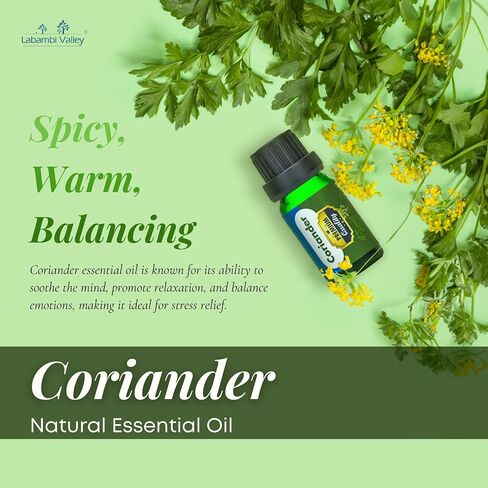 100% Pure Essential Oils for Diffusers, Home Care, Car, Hair & Massage, Candle Making Scents, Fragrance, Aromatherapy, Humidifiers, Gifts - 10 ml (0.33 oz) (10ml/(0.33 oz), Coriander) in Saudi Arabia