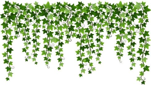 iMagitek Evergreen Lvy يترك ملصقات الحائط معلقة الكرمة جدار الشارات ديكورات الحائط لغرفة المعيشة غرفة نوم التلفزيون خلفية غرفة الطعام in Kuwait